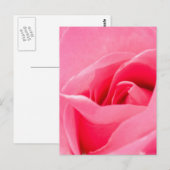 Bloeiend Roos Briefkaart (Voorkant / Achterkant)