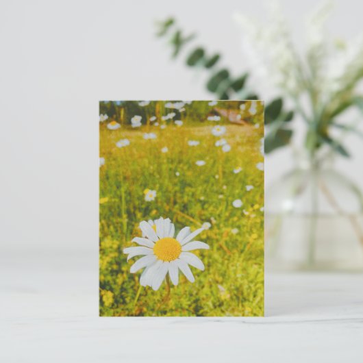 Bloeiend Scandinavisch zomer veld Briefkaart (Staand voorkant)