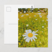 Bloeiend Scandinavisch zomer veld Briefkaart (Voorkant / Achterkant)