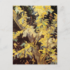 Bloeiende Acacia Takken Vincent van Gogh. Briefkaart