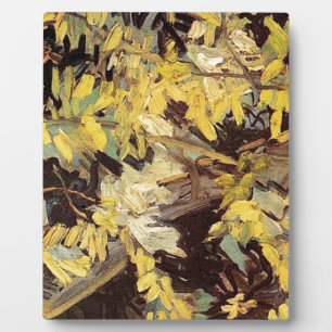 Bloeiende Acacia Takken Vincent van Gogh. Fotoplaat