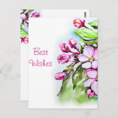 Bloeiende appelbloesems briefkaart (Voorkant / Achterkant)