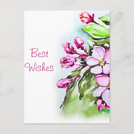 Bloeiende appelbloesems briefkaart (Voorkant)