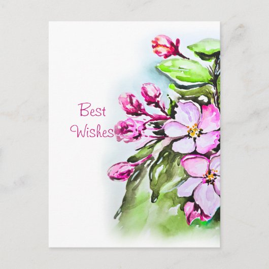 Bloeiende appelbloesems briefkaart (Voorkant)