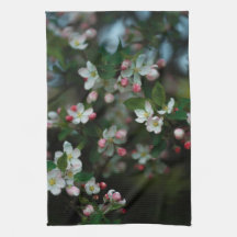 Bloeiende appelboom, lentemood