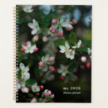 Bloeiende appelboom
