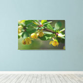 Bloeiende Barberry - Lente Canvas Afdruk (Insitu (Houten vloer))