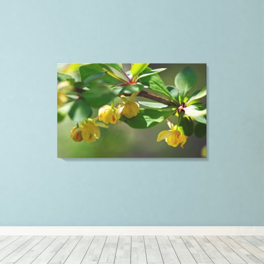 Bloeiende Barberry - Lente Canvas Afdruk (Insitu (Houten vloer))