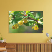 Bloeiende Barberry - Lente Canvas Afdruk (Insitu (Woonkamer))