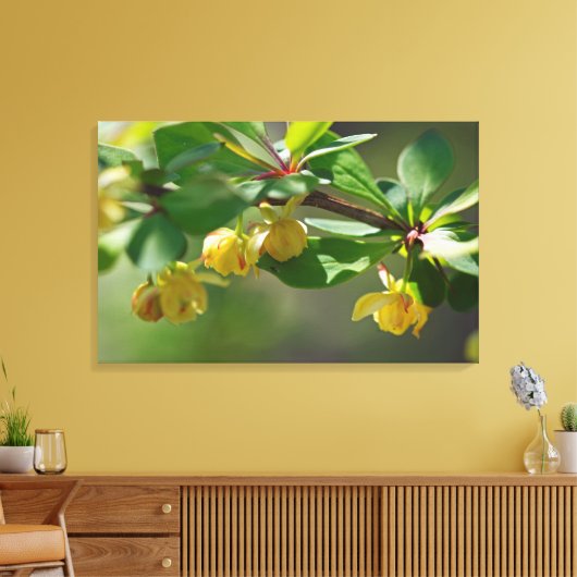 Bloeiende Barberry - Lente Canvas Afdruk (Insitu (Woonkamer))
