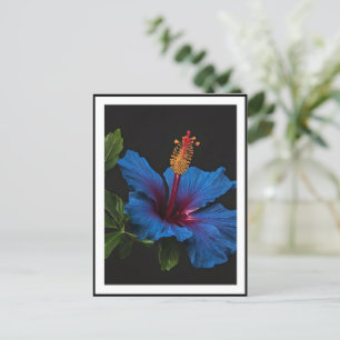 Bloeiende blauwe hibiscus bloem, briefkaart