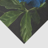 Bloeiende blauwe hibiscus bloem, tissuepapier (Detail)