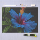 Bloeiende blauwe hibiscus bloem, tissuepapier (Craft)