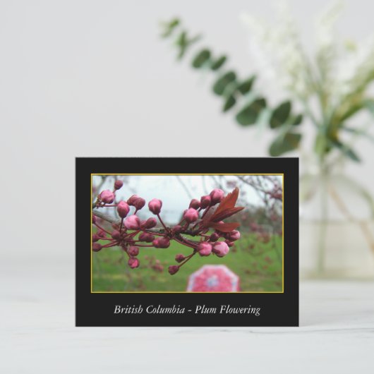 bloeiende bloem van rode bloedcellen briefkaart (Staand voorkant)