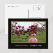 bloeiende bloem van rode bloedcellen briefkaart (Voorkant / Achterkant)