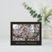 bloeiende bloem van rode bloedcellen briefkaart (Staand voorkant)