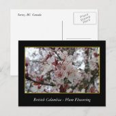 bloeiende bloem van rode bloedcellen briefkaart (Voorkant / Achterkant)