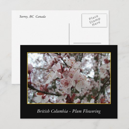 bloeiende bloem van rode bloedcellen briefkaart (Voorkant / Achterkant)