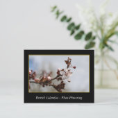 bloeiende bloem van rode bloedcellen briefkaart (Staand voorkant)