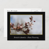 bloeiende bloem van rode bloedcellen briefkaart (Voorkant / Achterkant)