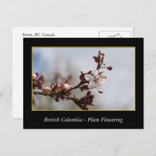 bloeiende bloem van rode bloedcellen briefkaart (Voorkant / Achterkant)