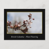 bloeiende bloem van rode bloedcellen briefkaart (Voorkant)