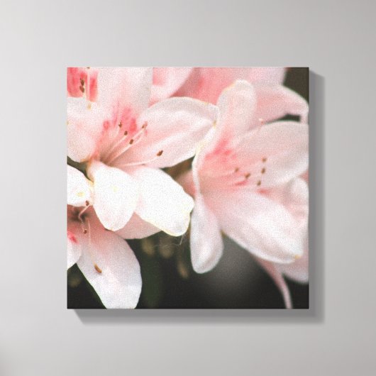 Bloeiende bloemen canvas afdruk (Voorkant)