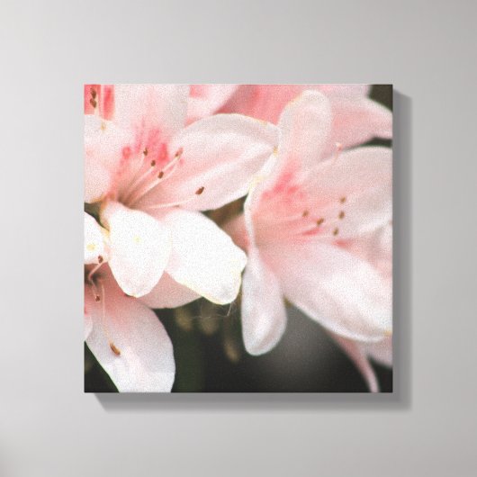 Bloeiende bloemen canvas afdruk (Voorkant)