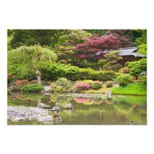 Bloeiende bloemen in de Japanse tuin, Foto Afdruk