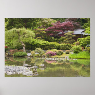 Bloeiende bloemen in de Japanse tuin, Poster