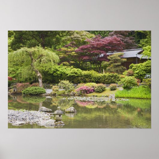 Bloeiende bloemen in de Japanse tuin, Poster (Voorkant)