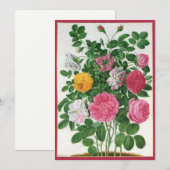 bloeiende bloemen, Rozen van de lentuin (Voorkant / Achterkant)