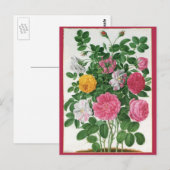 bloeiende bloemen, Rozen van de lentuin Briefkaart (Voorkant / Achterkant)