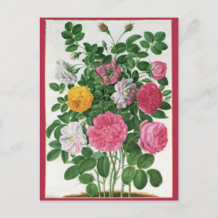 bloeiende bloemen, Rozen van de lentuin Briefkaart