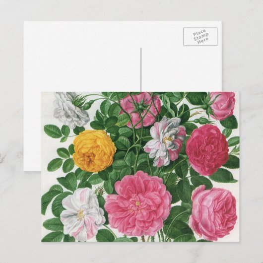 bloeiende bloemen, Rozen van de lentuin Briefkaart (Voorkant / Achterkant)