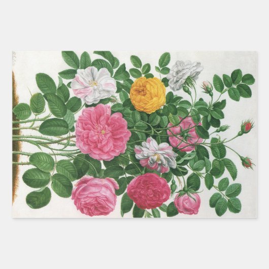  bloeiende bloemen, Rozen van de lentuin Inpakpapier Vel (Voorkant 2)