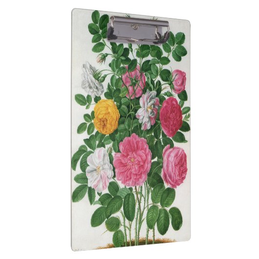  bloeiende bloemen, Rozen van de lentuin Klembord (Rechts)