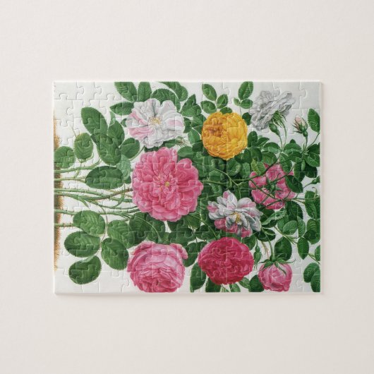  bloeiende bloemen, Rozen van de lentuin Legpuzzel (Horizontaal)