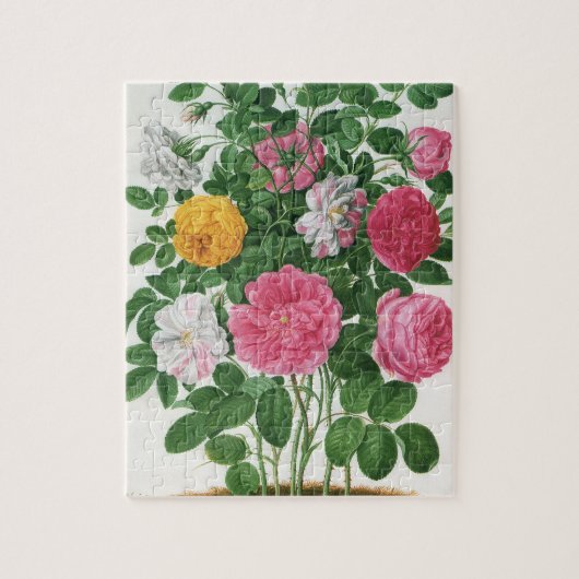  bloeiende bloemen, Rozen van de lentuin Legpuzzel (Verticaal)