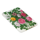  bloeiende bloemen, Rozen van de lentuin Magneet (Rechterzijde)