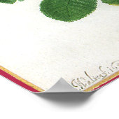  bloeiende bloemen, Rozen van de lentuin Poster (Hoek)