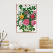  bloeiende bloemen, Rozen van de lentuin Poster (Keuken)