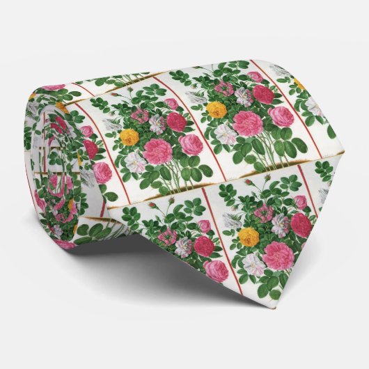 bloeiende bloemen, Rozen van de lentuin Stropdas (Opgerold)