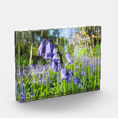 Bloeiende Bluebells - Gepersonaliseerde Moederdag Fotoblokken (Links)