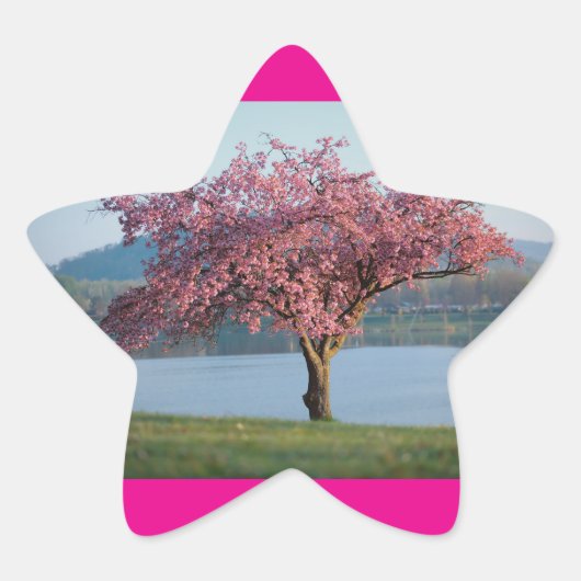 bloeiende bomen ster sticker (Voorkant)