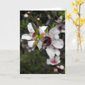 Bloeiende Boom Manuka Kaart (Gele Bloem)
