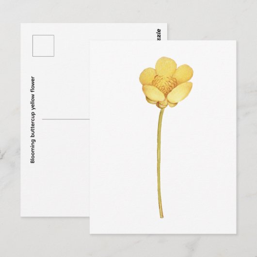 Bloeiende boterbloem gele bloem briefkaart (Voorkant / Achterkant)