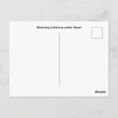 Bloeiende boterbloem gele bloem briefkaart (Achterkant)