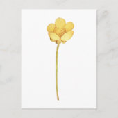 Bloeiende boterbloem gele bloem briefkaart (Voorkant)
