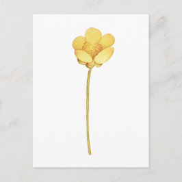 Bloeiende boterbloem gele bloem briefkaart